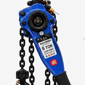 Pa lăng lắc tay PSK 6 tấn – hình minh họa nhận diện